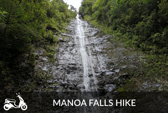 Manoa Falls Tour